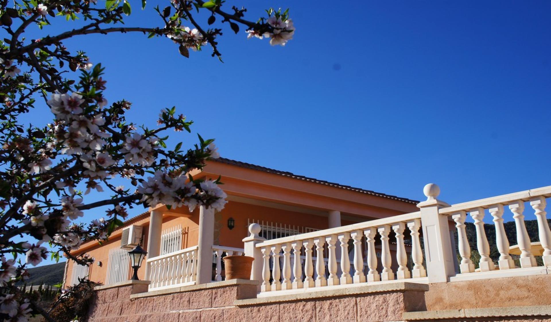 Schöne Villa mit privatem Pool in La Romana in Medvilla Spanje