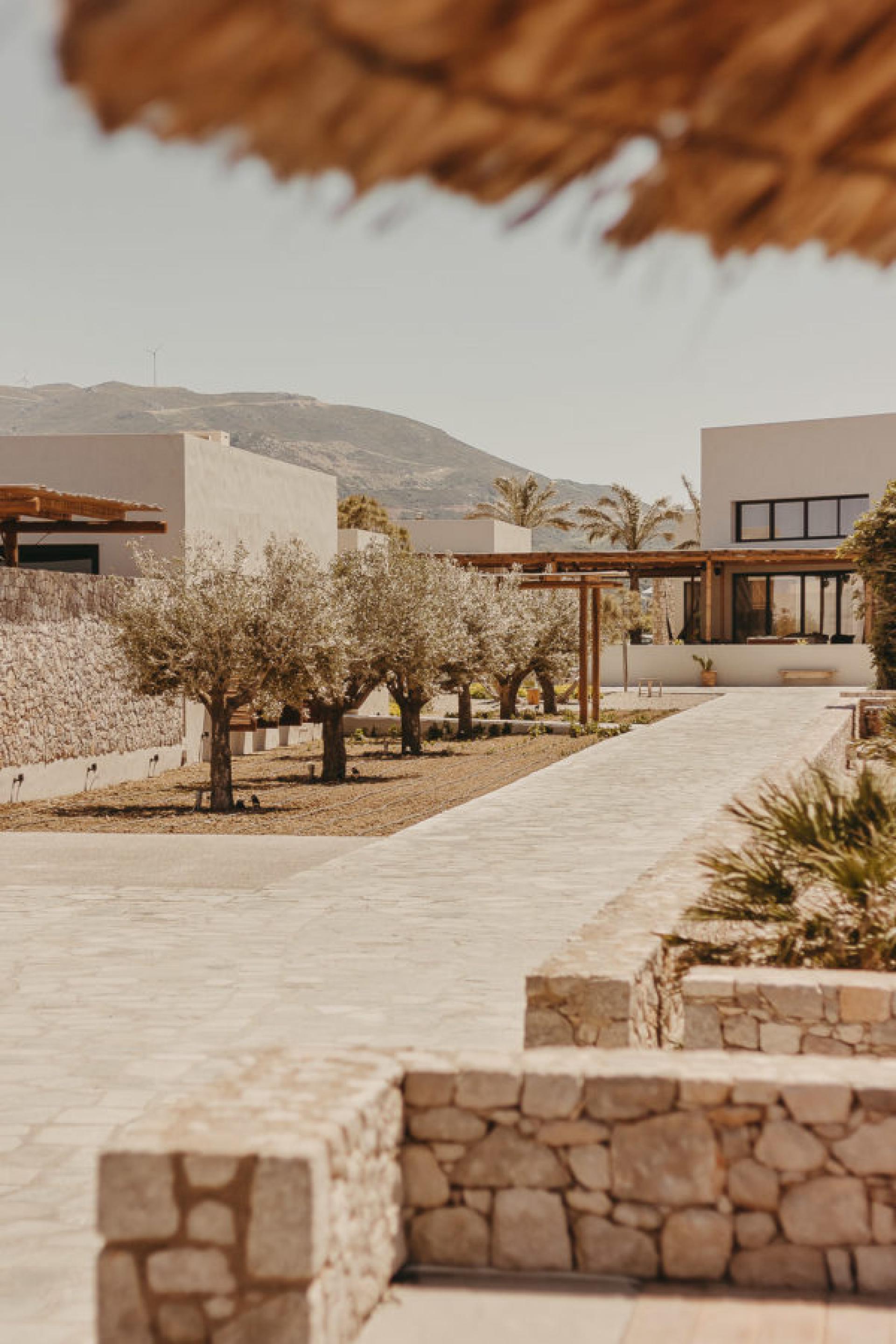 Ihre eigene Villa inmitten eines Weinbergs in der Nähe von Yecla in Medvilla Spanje